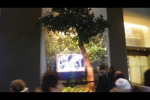 The idea has been created by fashion duo Dolce & Gabbana and consists of a series of trees that appear to be growing in large pots inside the windows.